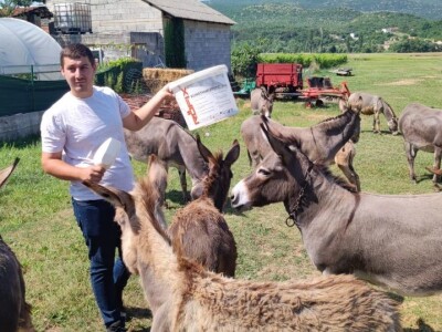 OPG Marko iz Gradaca