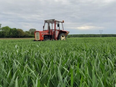 OPG MARKO MAKAREVIĆ