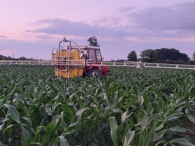 OPG MARKO MAKAREVIĆ