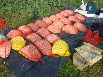 OPG MARKO MAKAREVIĆ