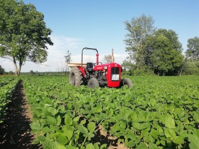 OPG MARKO MAKAREVIĆ