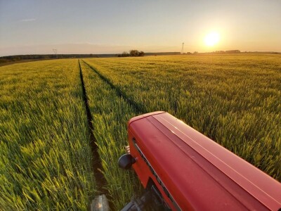 OPG MARKO MAKAREVIĆ