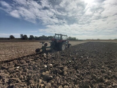 OPG MARKO MAKAREVIĆ