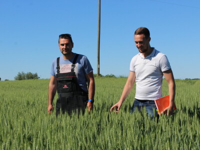 OPG Matej Omazić, Darda