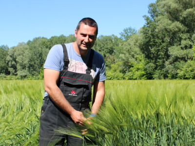 OPG Matej Omazić, Darda