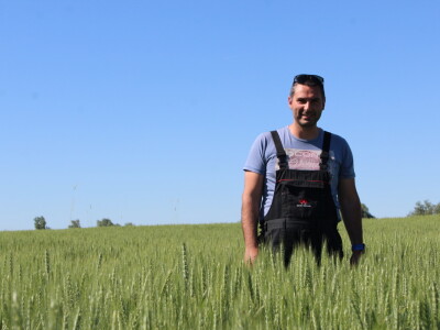 OPG Matej Omazić, Darda