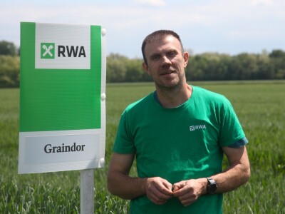 OPG Matija Jagatić očekuje 9 tona pšenice po hektaru