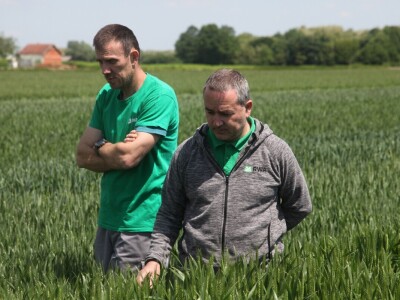 OPG Matija Jagatić očekuje 9 tona pšenice po hektaru