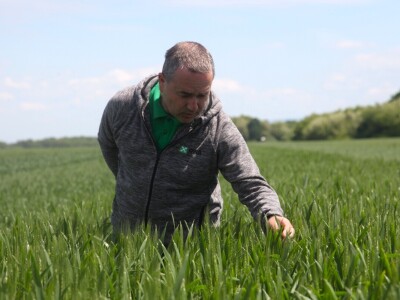 OPG Matija Jagatić očekuje 9 tona pšenice po hektaru