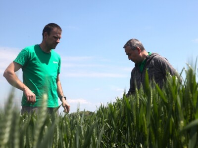 OPG Matija Jagatić očekuje 9 tona pšenice po hektaru