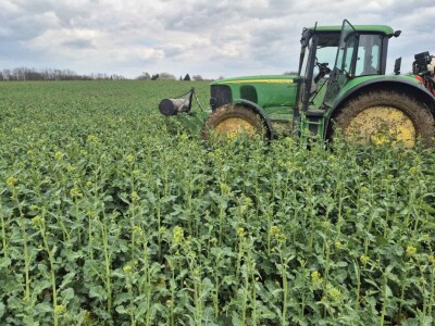 OPG Matija Makvić iz Budrovca kod Đurđevca