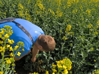 OPG Matija Makvić iz Budrovca kod Đurđevca