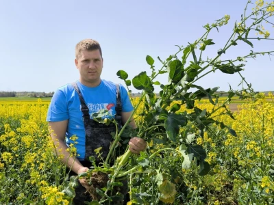OPG Matija Makvić iz Budrovca kod Đurđevca