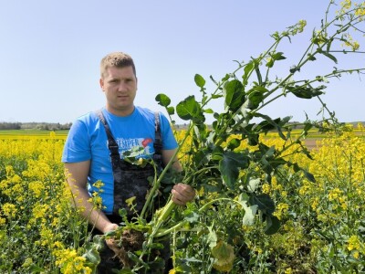 OPG Matija Makvić iz Budrovca kod Đurđevca