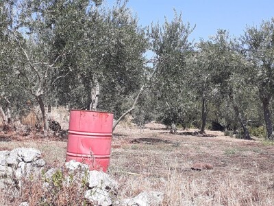 OPG Matulić sa Pašmana