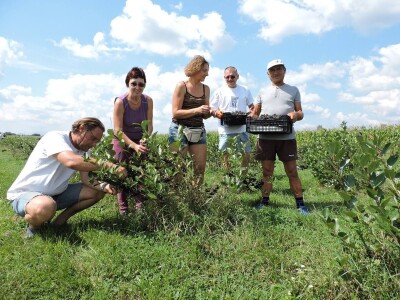 OPG Metlikovec OPG Metlikovec