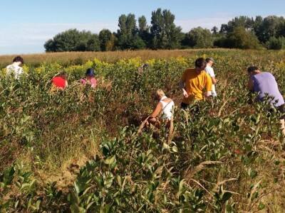 OPG Metlikovec OPG Metlikovec