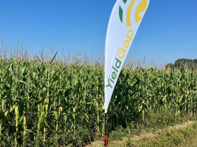 OPG Mihael Sklizović iz Miholjačkog Poreča