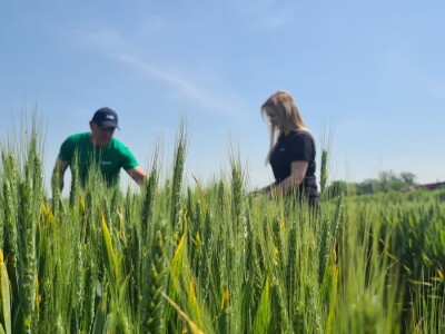 OPG Mihaela Mihalića OPG Mihaela Mihalića