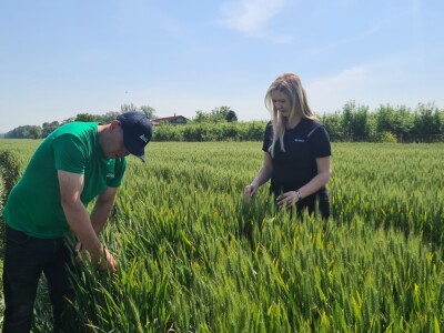 OPG Mihaela Mihalića OPG Mihaela Mihalića