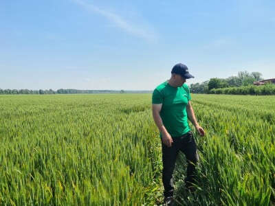 OPG Mihaela Mihalića OPG Mihaela Mihalića