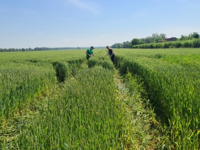 OPG Mihaela Mihalića OPG Mihaela Mihalića