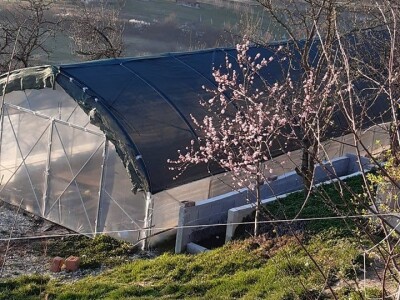 OPG MIJAKOVIC OPG MIJAKOVIC