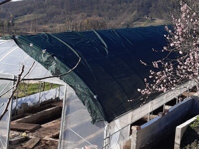 OPG MIJAKOVIC OPG MIJAKOVIC