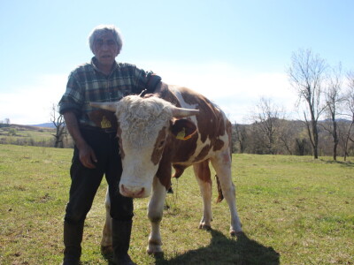 OPG Milan Radić OPG Milan Radić