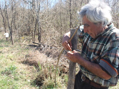 OPG Milan Radić OPG Milan Radić