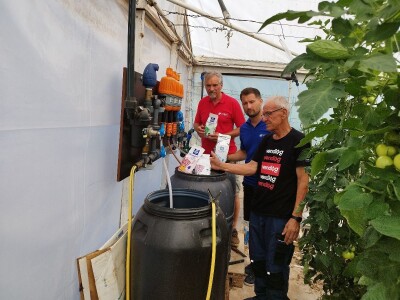 OPG MILAN RAK / COLIĆ TRADE: Umirovljenik iz Rakova sela povećao proizvodnju rajčice sa 3 na 60 tona!