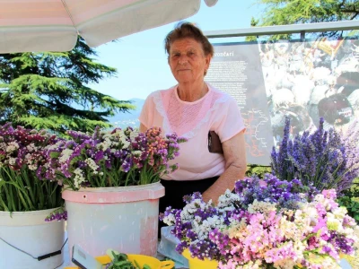 OPG Milka Smojver