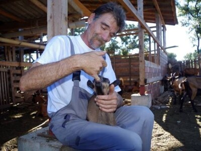 OPG Miodrag Ninković