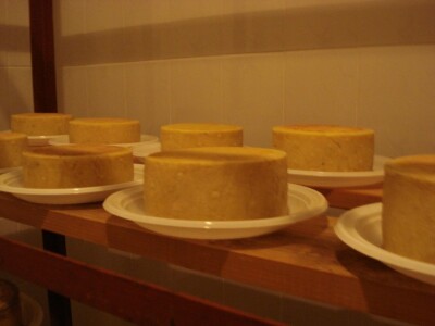 OPG Miodrag Ninković