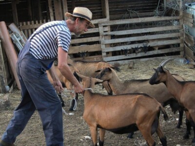 OPG Miodrag Ninković