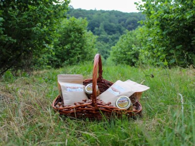 OPG Mlakar OPG Mlakar