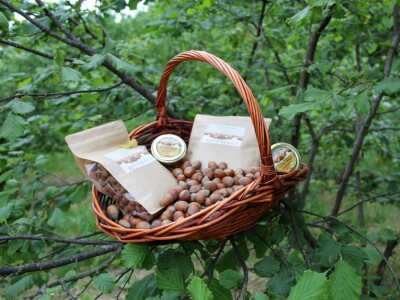 OPG Mlakar OPG Mlakar