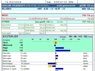 OPG Mužinić: Još jedan hrvatski bik najviše razine