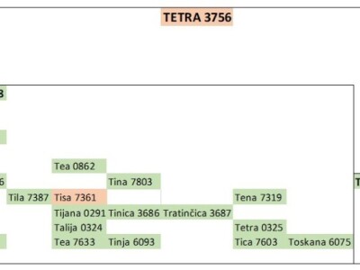 OPG Mužinić: Još jedan hrvatski bik najviše razine