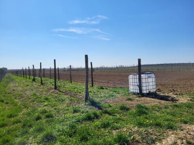 OPG Na kraju sela iz Kozarca