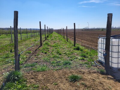 OPG Na kraju sela iz Kozarca