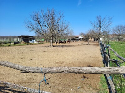 OPG Na kraju sela iz Kozarca