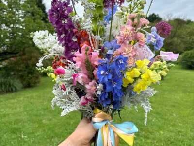 OPG Novosel Gornja Stubica