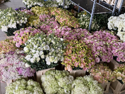 OPG Novosel Gornja Stubica