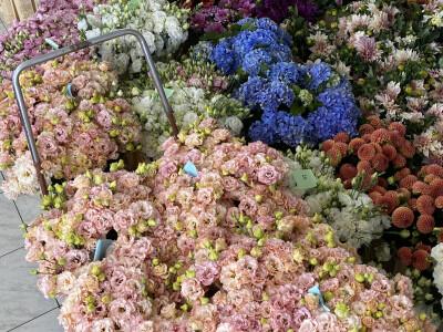 OPG Novosel Gornja Stubica