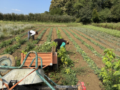 OPG Novosel Gornja Stubica