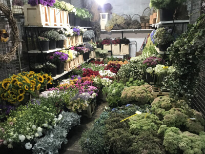 OPG Novosel Gornja Stubica