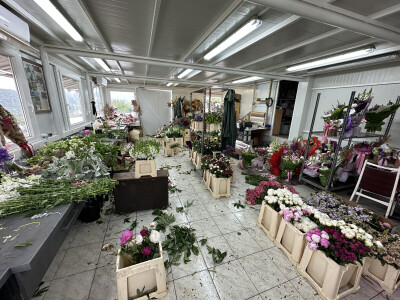 OPG Novosel Gornja Stubica