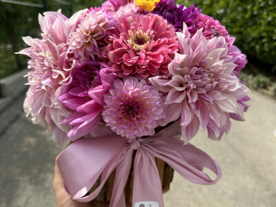 OPG Novosel Gornja Stubica