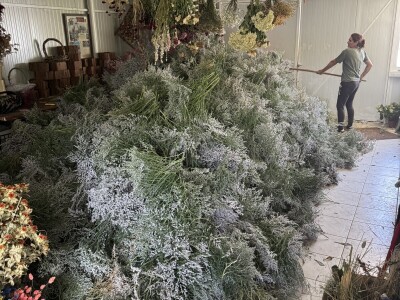 OPG Novosel Gornja Stubica